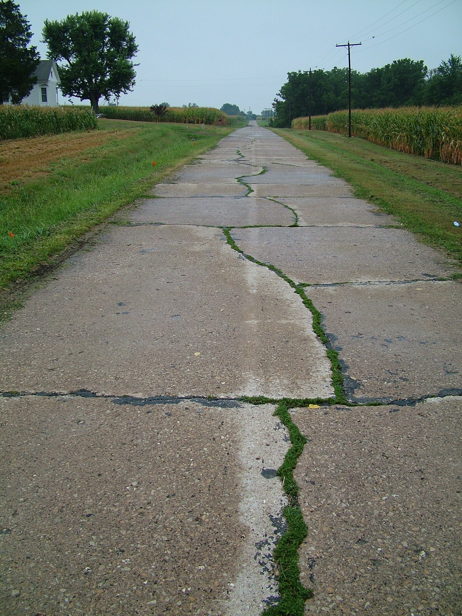 IL833